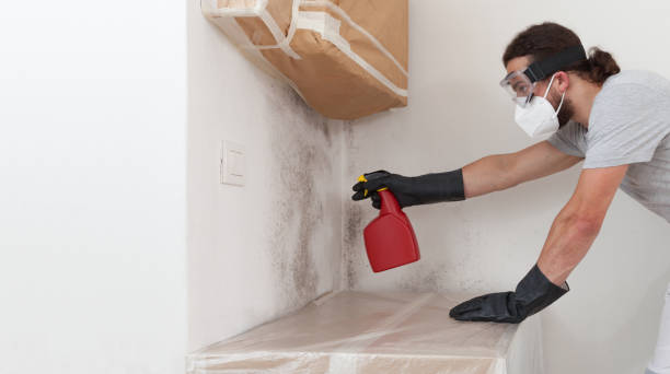 Professional Basement Mold Removal technician working in Hatfield, PA