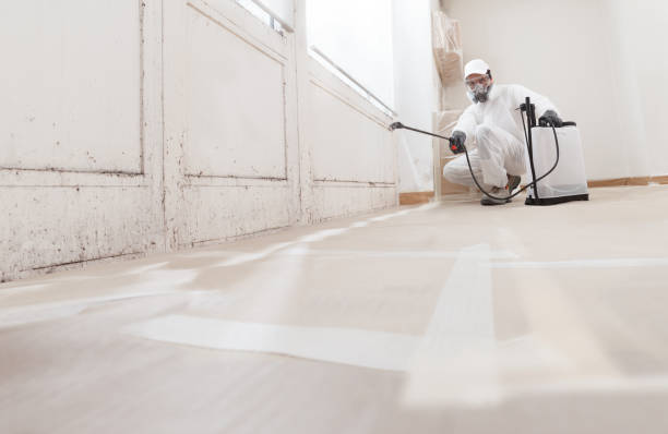 24/7 Emergency Basement Mold Removal experts in Hatfield, PA