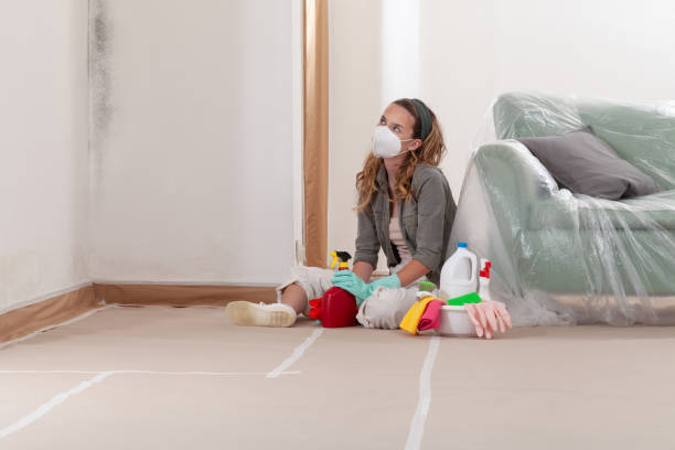 Reliable Basement Mold Removal contractor in Hatfield, PA by WQB Mold Removal