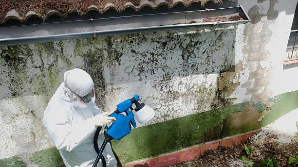 Top rated local Basement Mold Removal specialists in Hatfield, PA